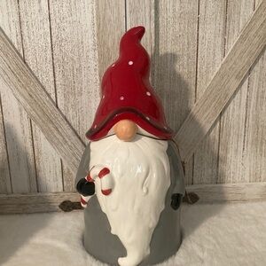 10 Strawberry Street Gnome Canister